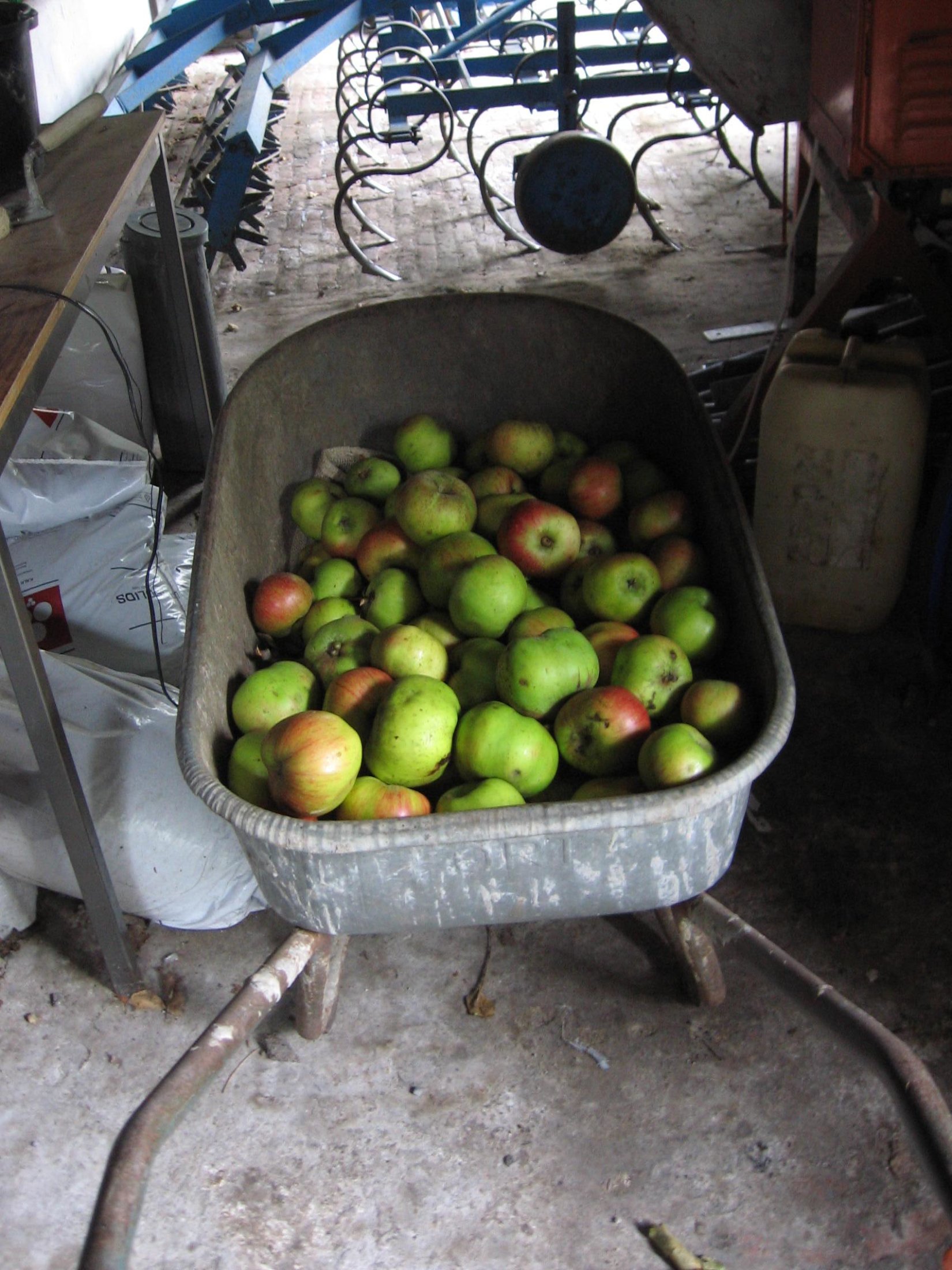 Kruiwagen Met Appels In Koestal