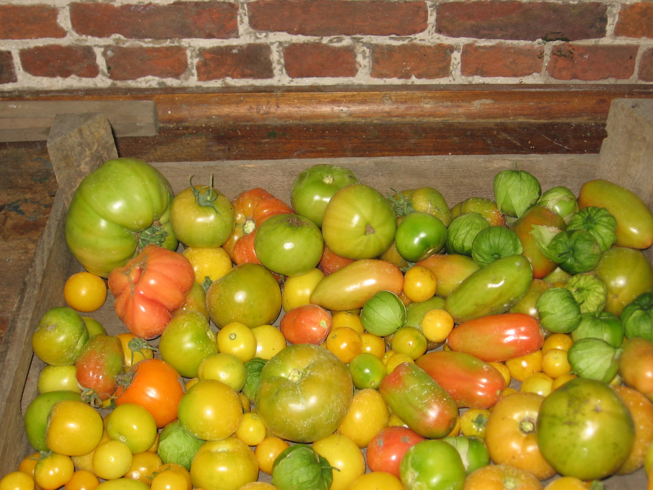 Diverse Tomaten