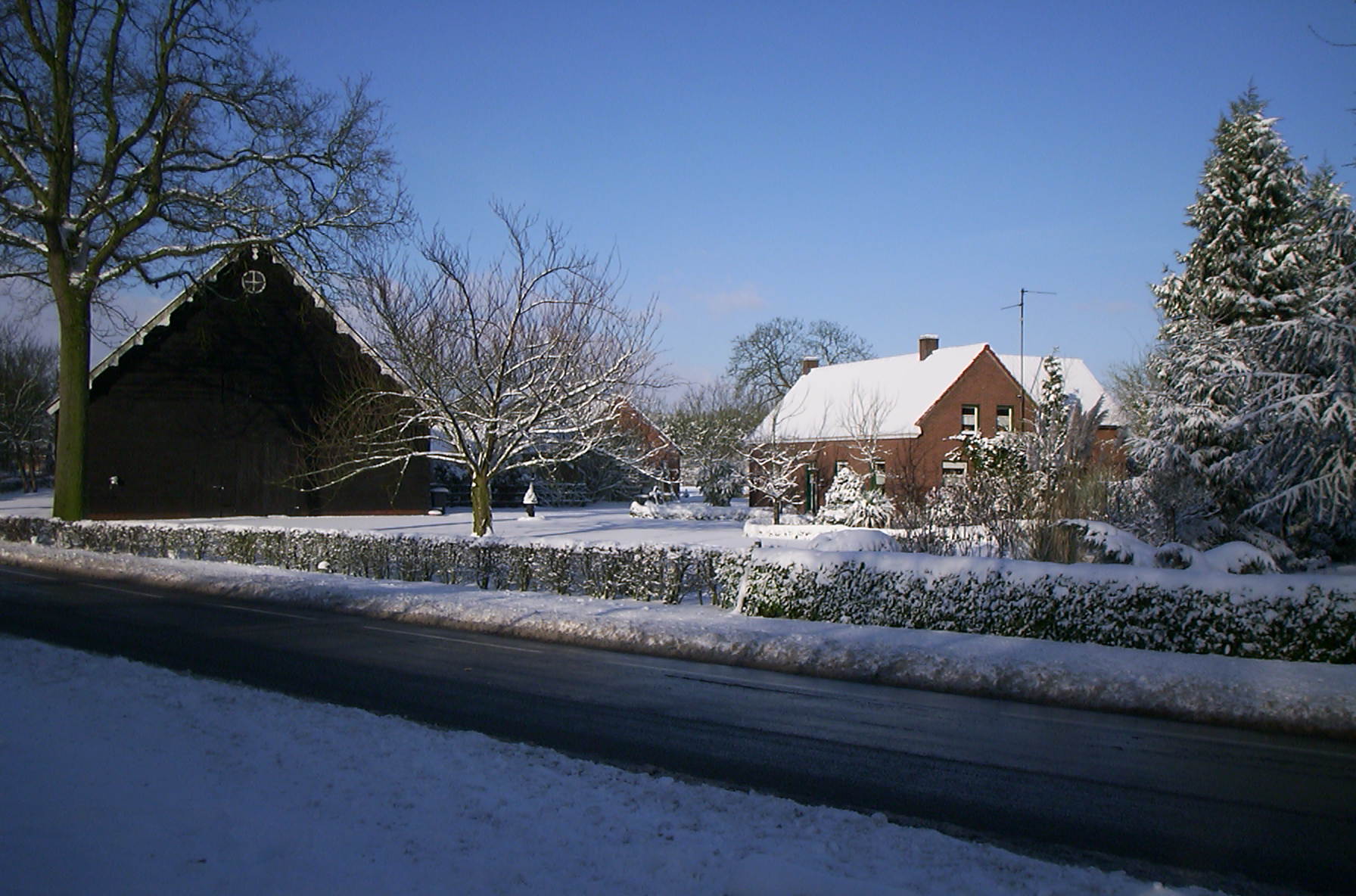 Winter In 2006